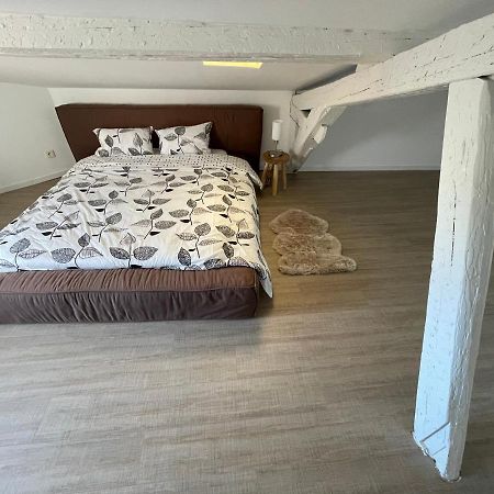 Appartamento Duplex Quartier Saint-Sernin, Tolosa Esterno foto