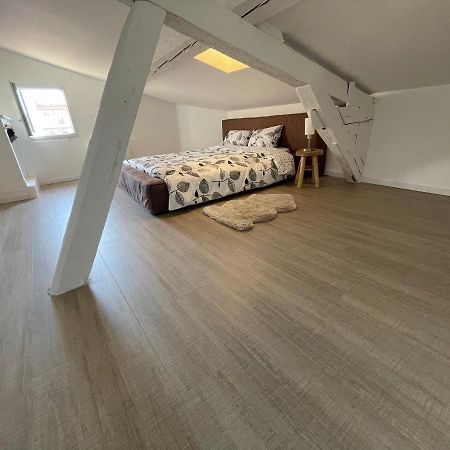 Appartamento Duplex Quartier Saint-Sernin, Tolosa Esterno foto