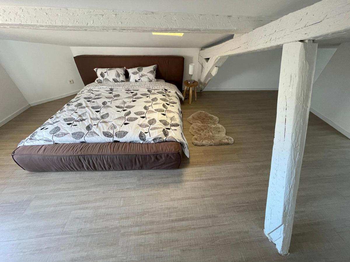 Appartamento Duplex Quartier Saint-Sernin, Tolosa Esterno foto